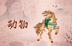 夢見飛翔的小馬