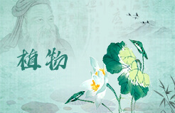 夢見吃爛梨